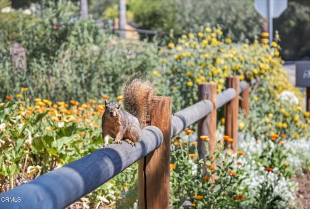 525 S Ventura Street, Ojai, CA 93023