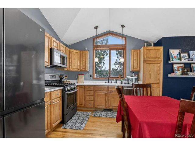 38 Mesa Ct, Bailey, CO 80421