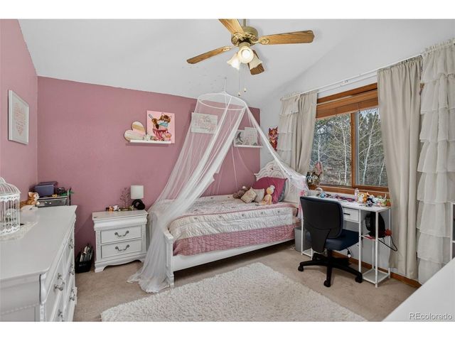 38 Mesa Ct, Bailey, CO 80421