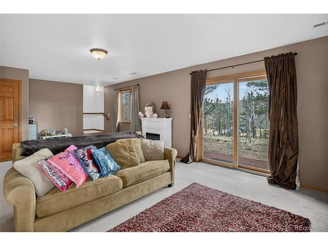 38 Mesa Ct, Bailey, CO 80421