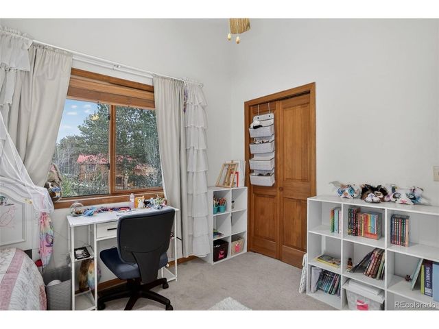 38 Mesa Ct, Bailey, CO 80421