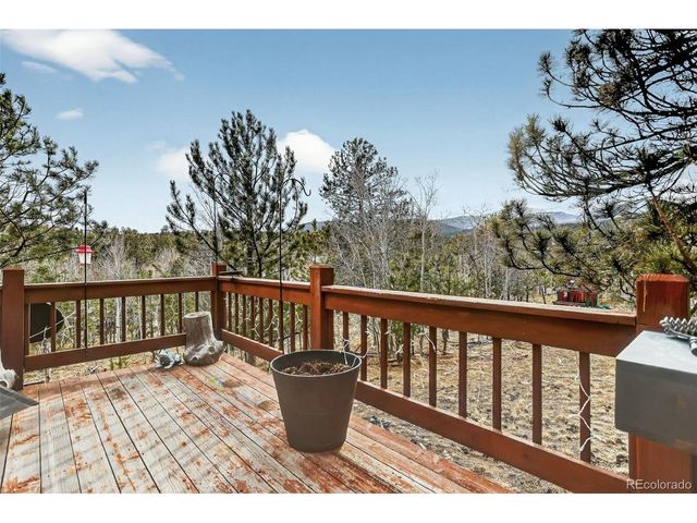 38 Mesa Ct, Bailey, CO 80421