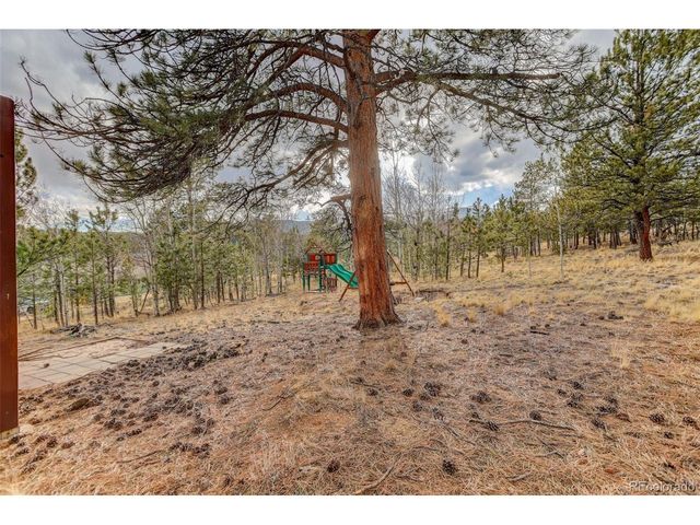 38 Mesa Ct, Bailey, CO 80421