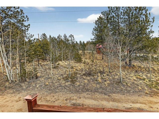 38 Mesa Ct, Bailey, CO 80421