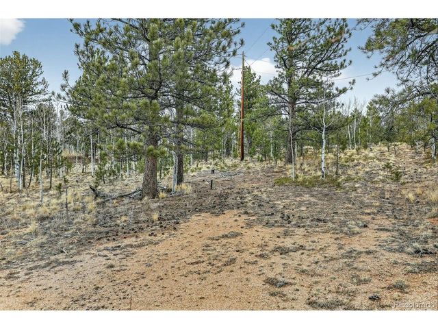 38 Mesa Ct, Bailey, CO 80421