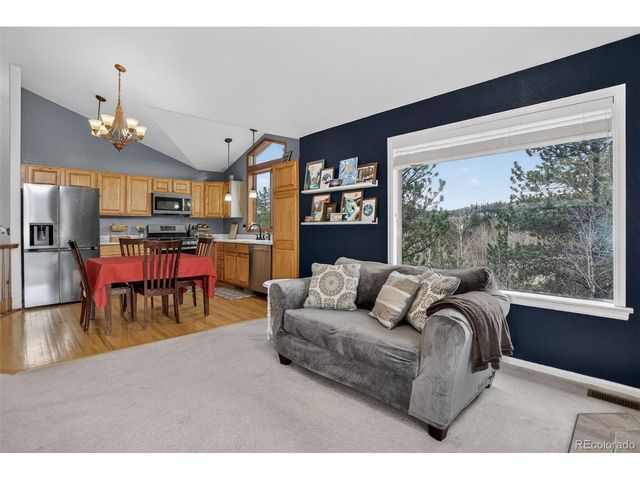 38 Mesa Ct, Bailey, CO 80421