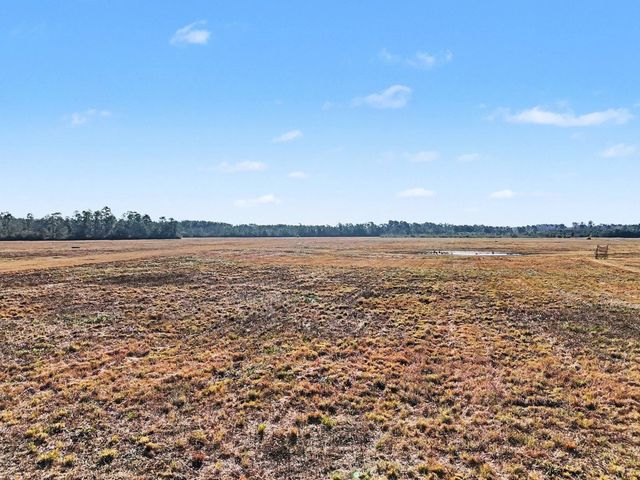 TBD 87 Acres Airport Rd., Loris, SC 29569