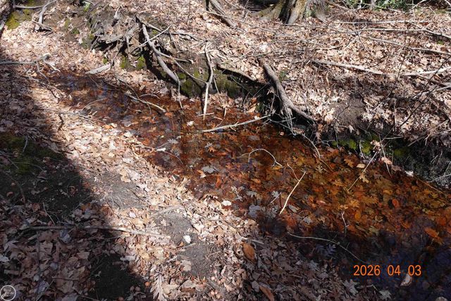 3780 Abbottsford Road, Clyde, MI 48049