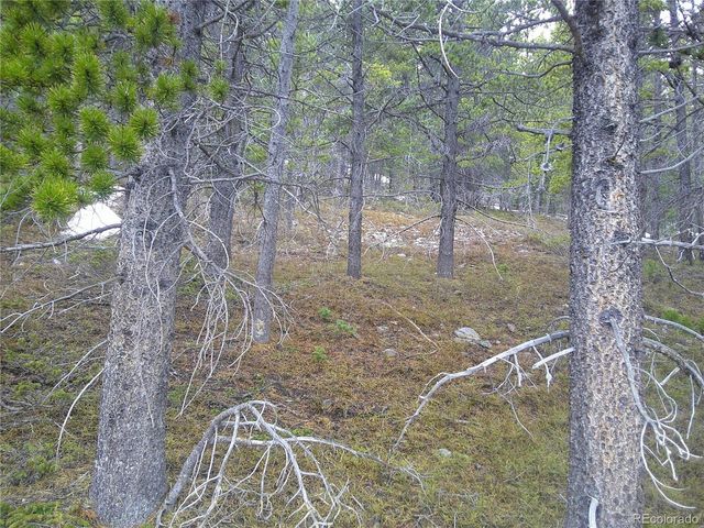417 Glory Hole Rd, Idaho Springs, CO 80452