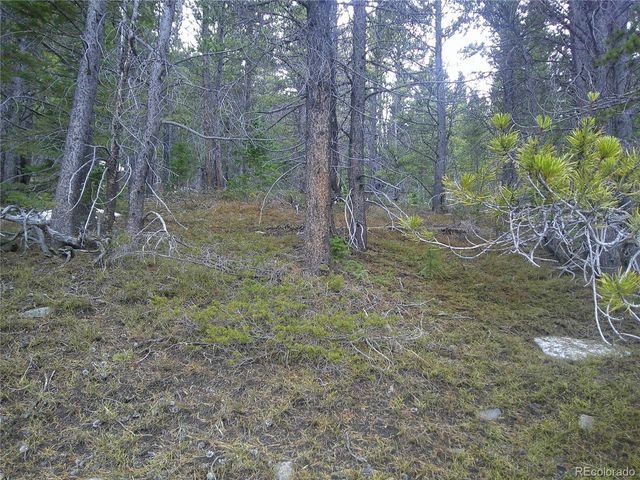 417 Glory Hole Rd, Idaho Springs, CO 80452