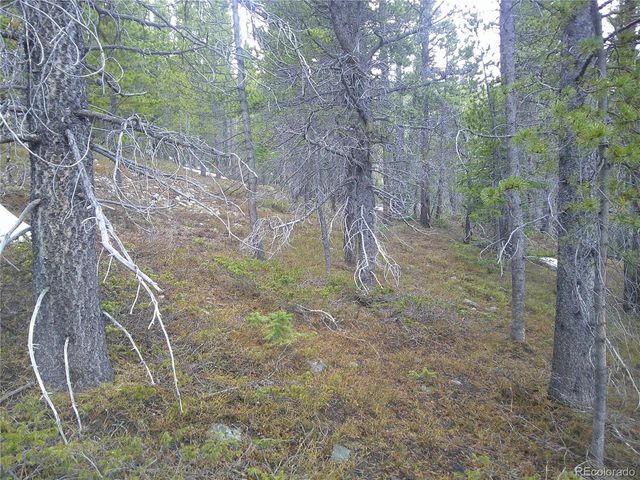 417 Glory Hole Rd, Idaho Springs, CO 80452