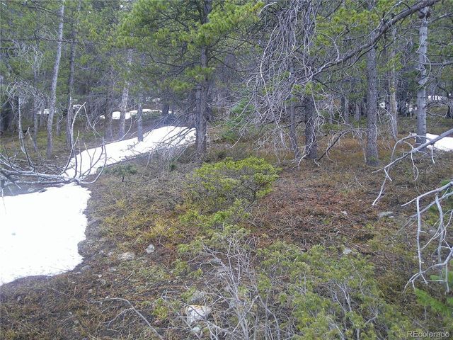 417 Glory Hole Rd, Idaho Springs, CO 80452