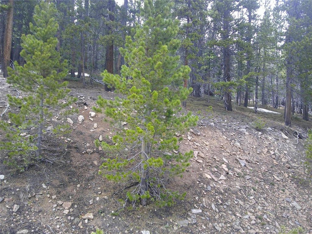 417 Glory Hole Rd, Idaho Springs, CO 80452