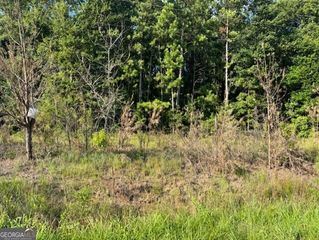 8641 Hopewell Road, Lizella, GA 31052