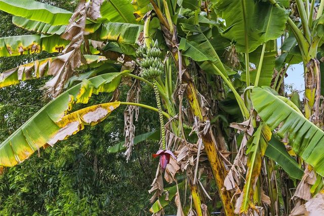 14630 AERIES WAY DRIVE, Fort Myers, FL 33912