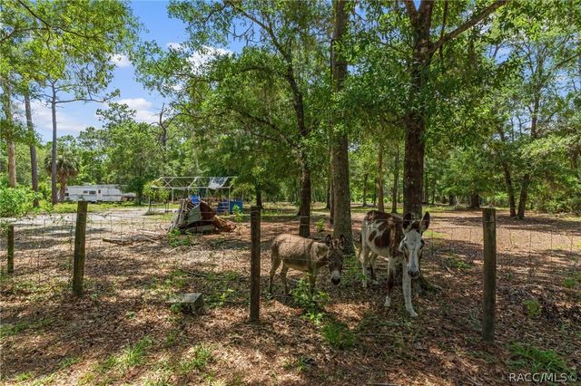 1710 S Iroquois Avenue, Homosassa, FL 34448