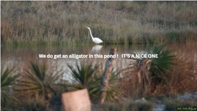 369 Rattlesnake Point, Rockport, TX 78382