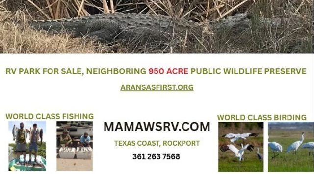 369 Rattlesnake Point, Rockport, TX 78382