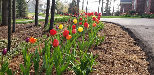 6544 Egypt Ridge Road NE, Rockford, MI 49341