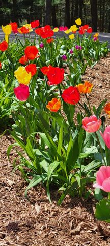 6544 Egypt Ridge Road NE, Rockford, MI 49341