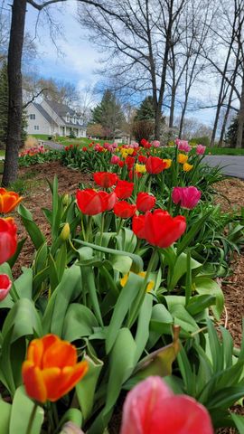 6544 Egypt Ridge Road NE, Rockford, MI 49341