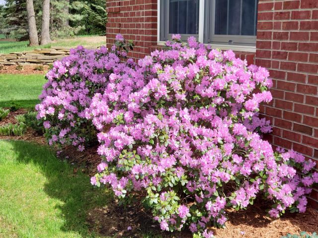 6544 Egypt Ridge Road NE, Rockford, MI 49341