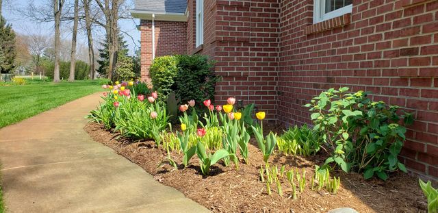 6544 Egypt Ridge Road NE, Rockford, MI 49341