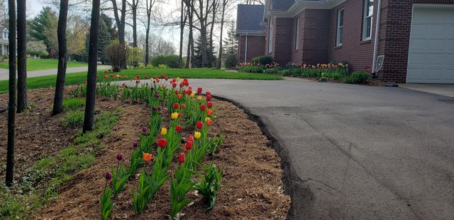 6544 Egypt Ridge Road NE, Rockford, MI 49341