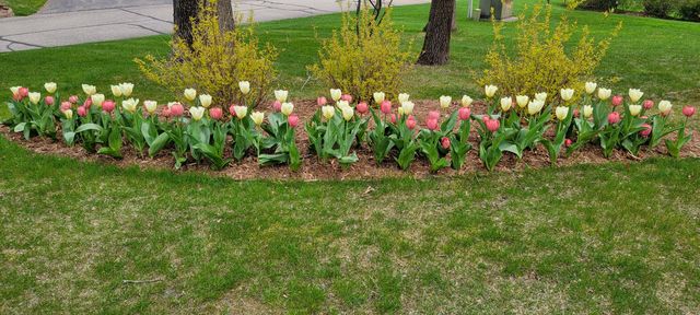 6544 Egypt Ridge Road NE, Rockford, MI 49341