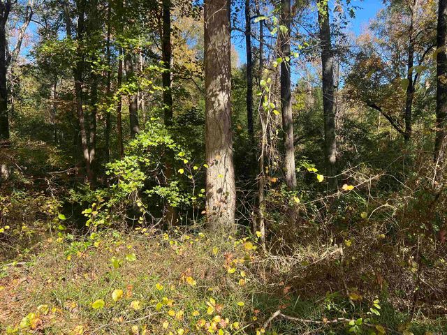 121 E Baldwin, White Hall, AR 71602