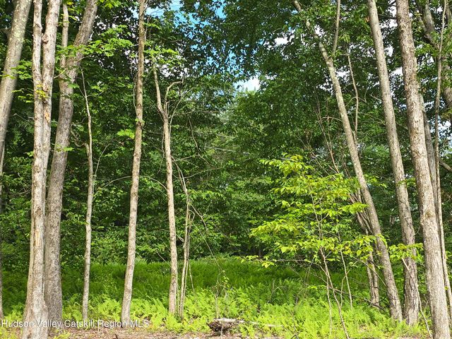 Tbd Avery Hand Lane, New Lebanon, NY 12125