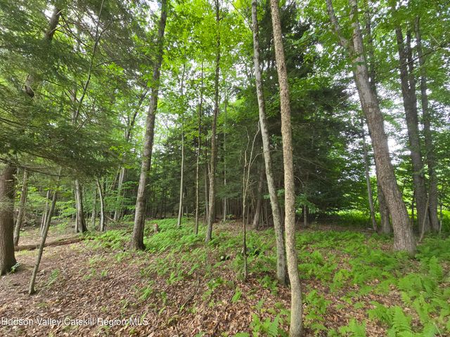 Tbd Avery Hand Lane, New Lebanon, NY 12125