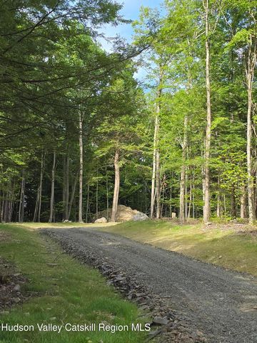 Tbd Avery Hand Lane, New Lebanon, NY 12125