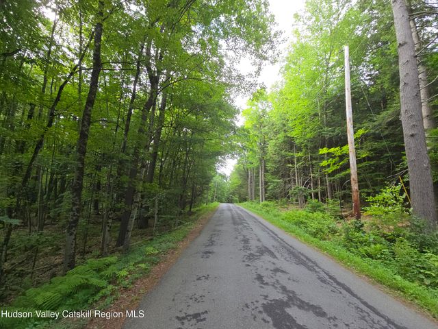 Tbd Avery Hand Lane, New Lebanon, NY 12125