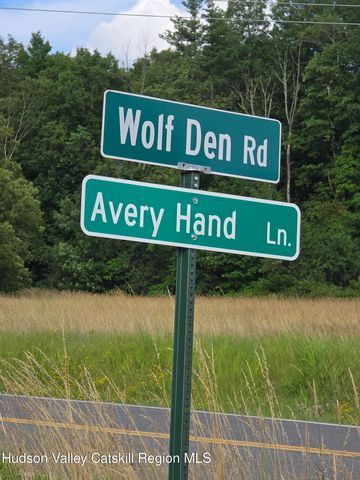 Tbd Avery Hand Lane, New Lebanon, NY 12125