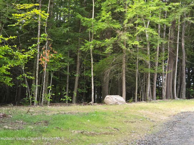 Tbd Avery Hand Lane, New Lebanon, NY 12125