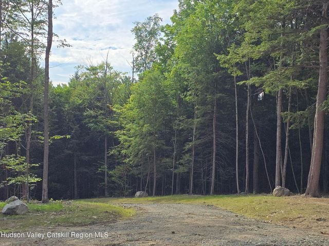 Tbd Avery Hand Lane, New Lebanon, NY 12125