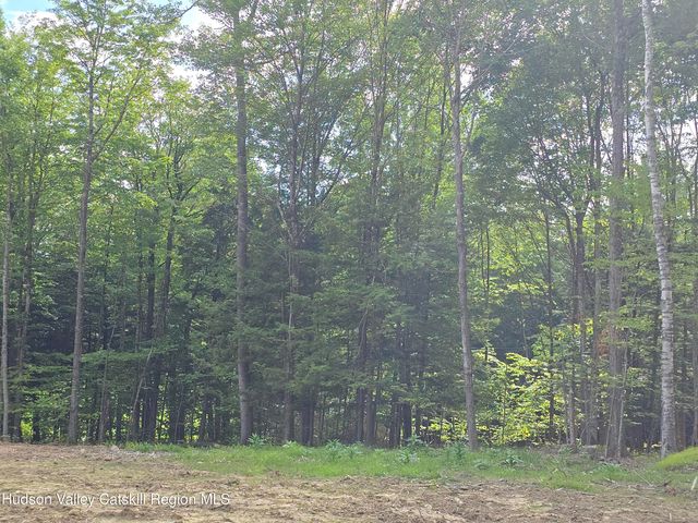 Tbd Avery Hand Lane, New Lebanon, NY 12125