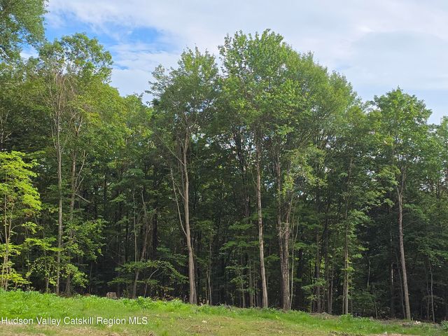 Tbd Avery Hand Lane, New Lebanon, NY 12125