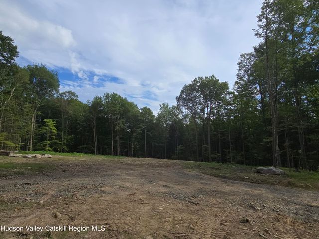 Tbd Avery Hand Lane, New Lebanon, NY 12125