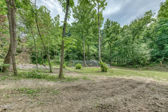 2244 Idle Hour Road, Kingsport, TN 37660