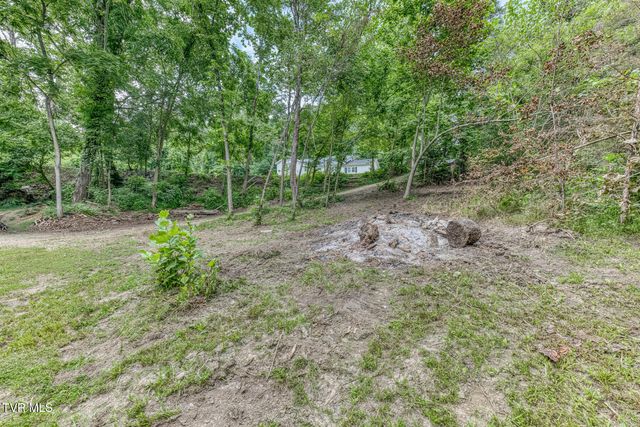2244 Idle Hour Road, Kingsport, TN 37660