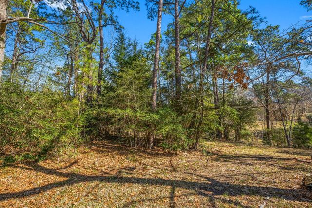 26 Twinstone Circle, Coldspring, TX 77331