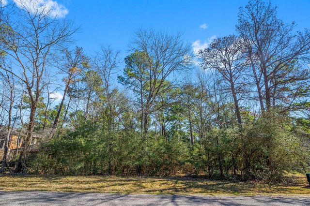 26 Twinstone Circle, Coldspring, TX 77331