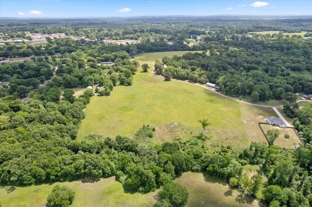 Lot 01 county rd 1309, Pittsburg, TX 75686