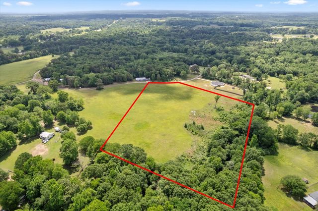 Lot 01 county rd 1309, Pittsburg, TX 75686