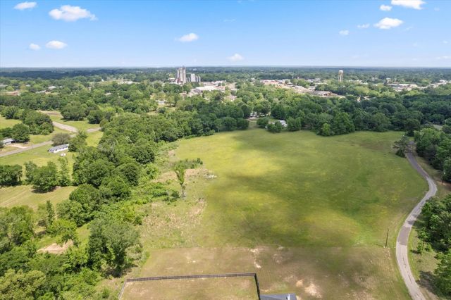 Lot 01 county rd 1309, Pittsburg, TX 75686