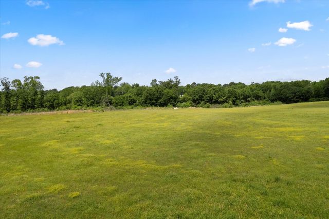 Lot 01 county rd 1309, Pittsburg, TX 75686