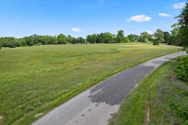Lot 01 county rd 1309, Pittsburg, TX 75686