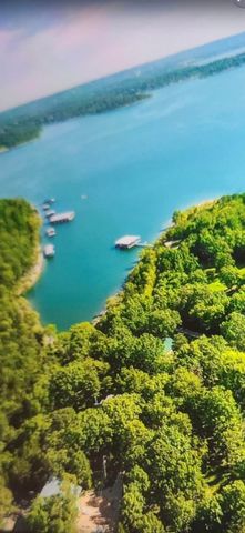 12 Old Happy Hollow Trail, Lampe, MO 65681